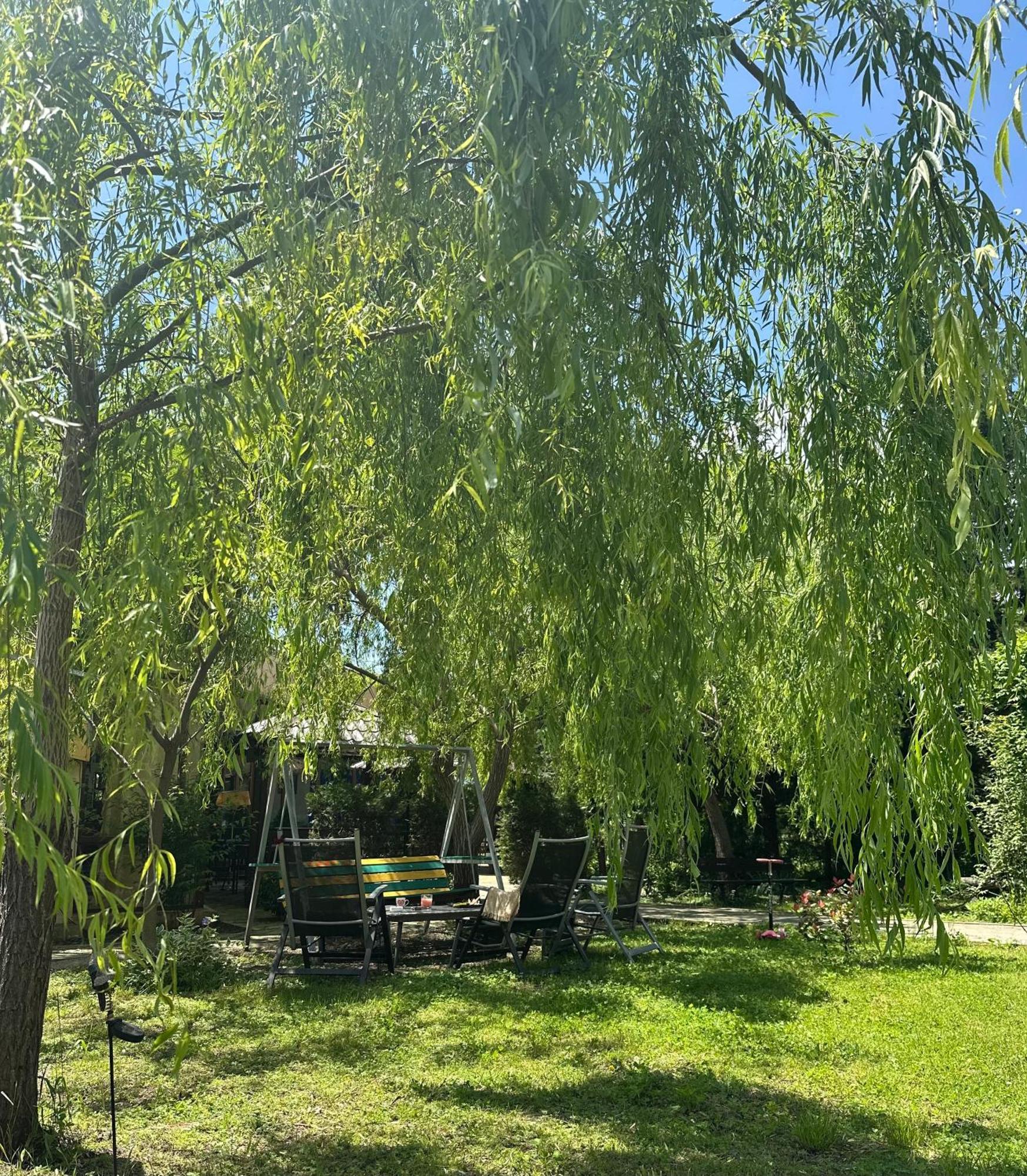 Green House Кварели Экстерьер фото
